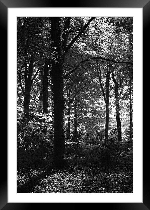 Lost In The Shadows Framed Mounted Print by David Pacey