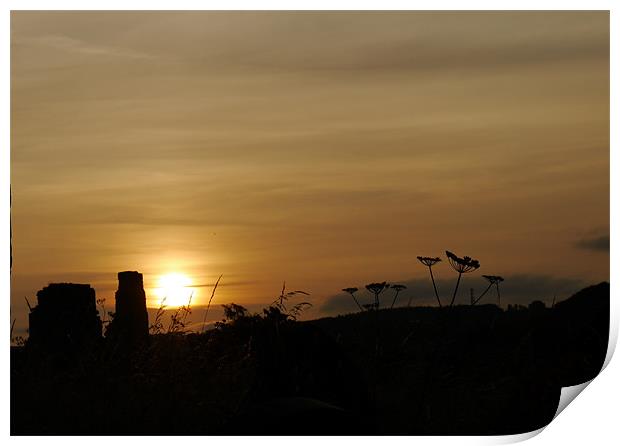 Sunset at Easby Abbey Print by Susan Mundell