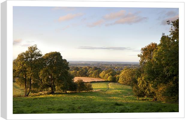 Mickleton Canvas Print by Andrew Roland