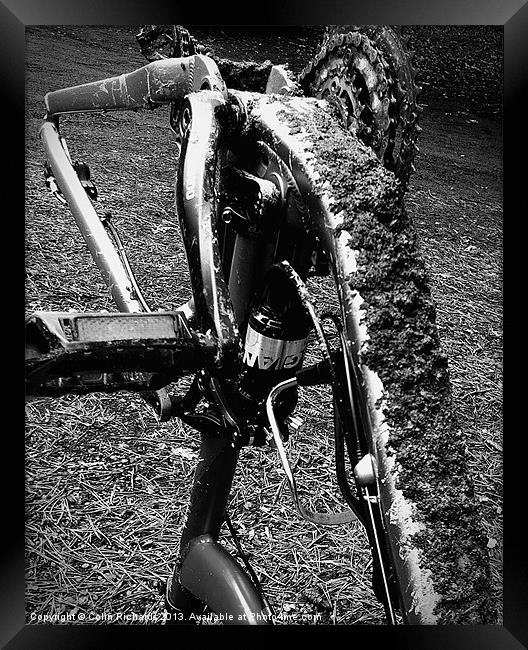 Mountain Biking Framed Print by Colin Richards
