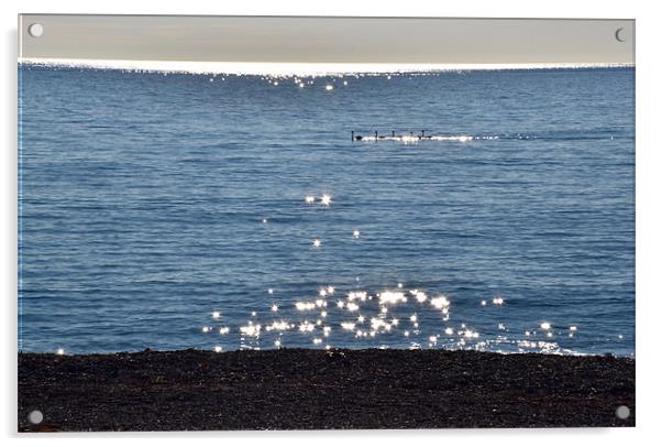 Swans on the sea Acrylic by Benoit Charon