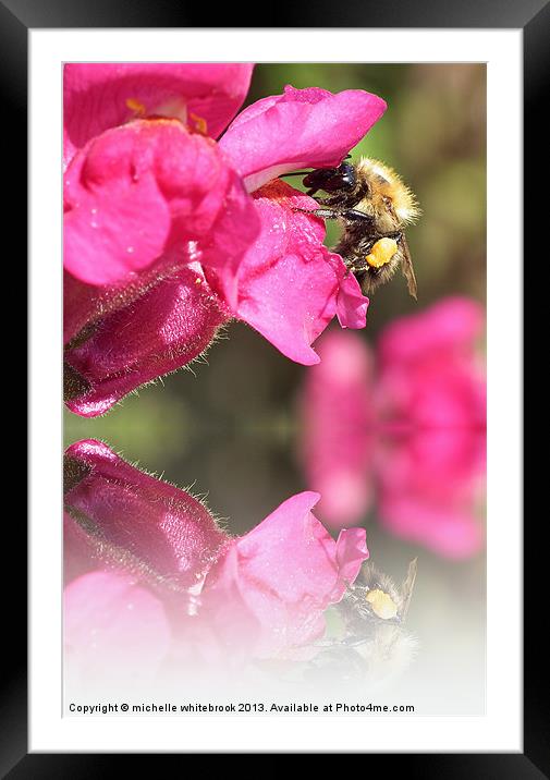 Bee myself Framed Mounted Print by michelle whitebrook