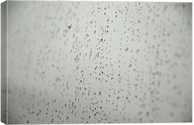 Droplets Canvas Print by sarah jane