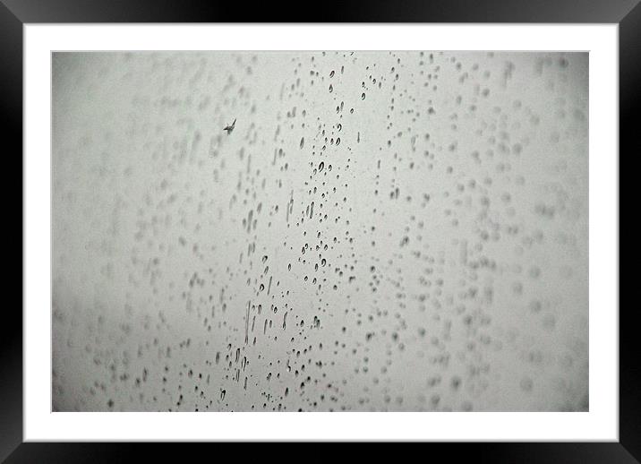 Droplets Framed Mounted Print by sarah jane