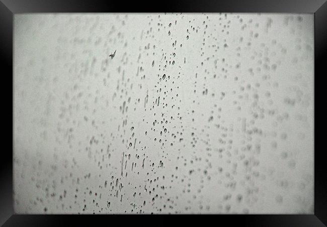 Droplets Framed Print by sarah jane