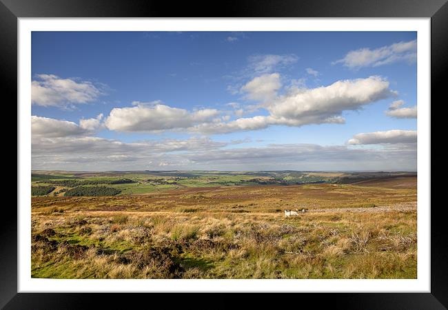 Stainton Moor Framed Print by Andrew Roland