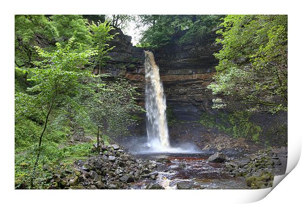 Hardraw Force Print by Andrew Roland