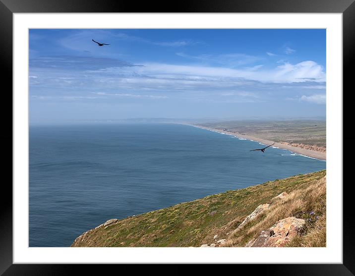 Point Reyes National Seashore park Framed Mounted Print by Gail Johnson