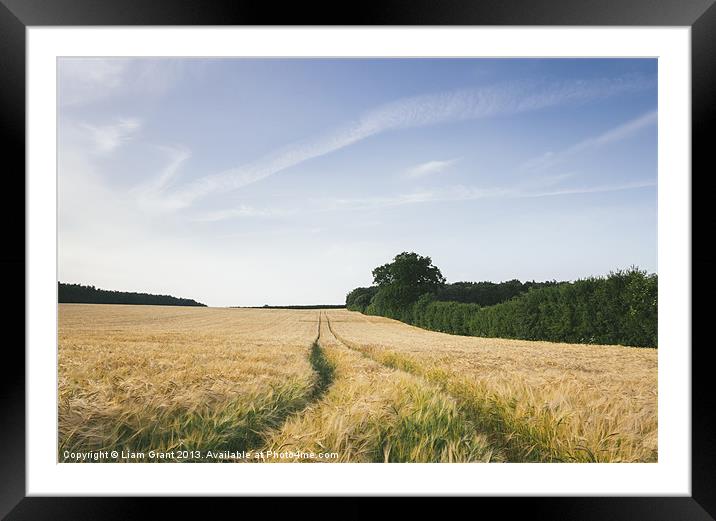 Sunset over barley field and track. West Lexham, N Framed Mounted Print by Liam Grant