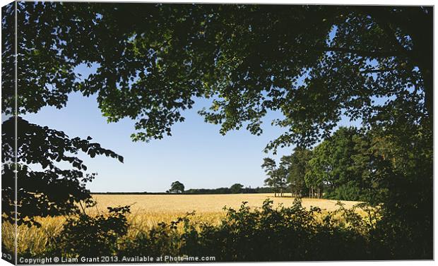 Field of barley framed with nature. Canvas Print by Liam Grant