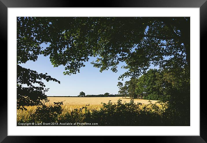 Field of barley framed with nature. Framed Mounted Print by Liam Grant