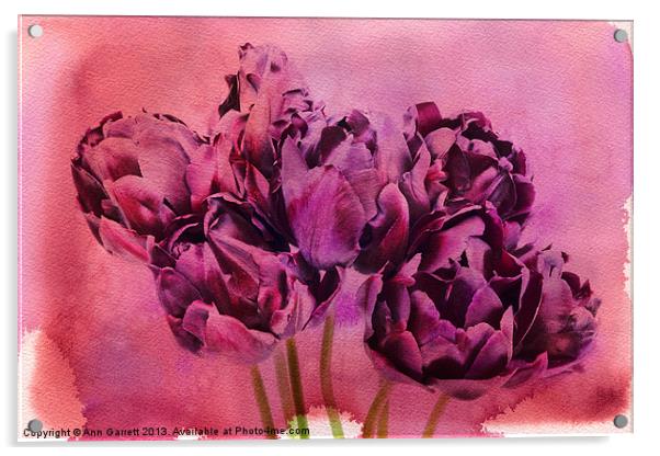 Watercolour Tulips Acrylic by Ann Garrett