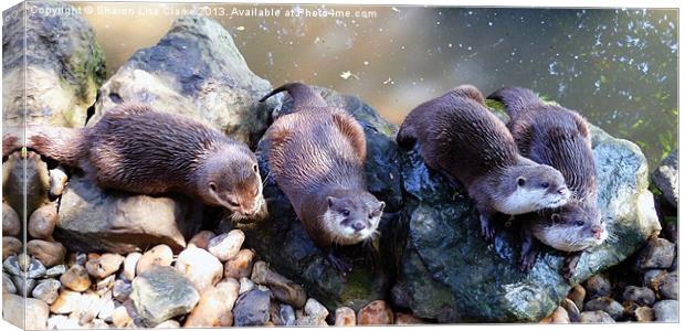 Otters Canvas Print by Sharon Lisa Clarke