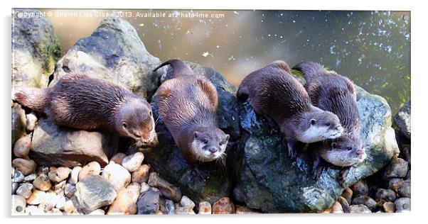 Otters Acrylic by Sharon Lisa Clarke