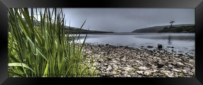 Lovely Lake Framed Print by Chris Willman