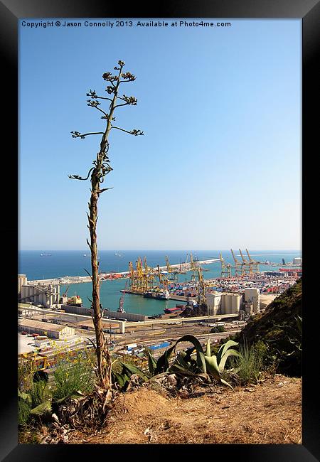 Port Of Barcelona Framed Print by Jason Connolly