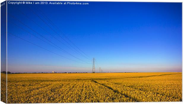 Golden Corn fields of Kent Canvas Print by Thanet Photos