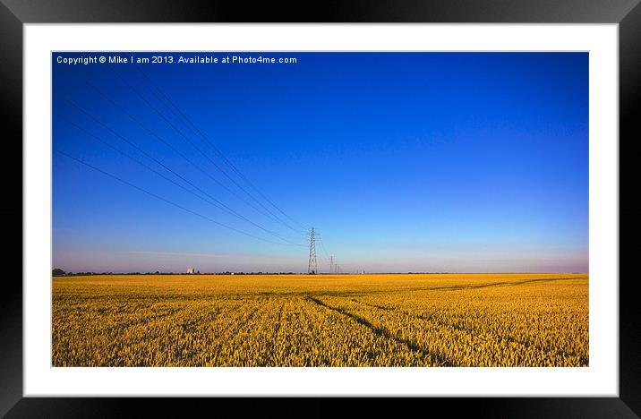 Golden Corn fields of Kent Framed Mounted Print by Thanet Photos