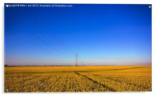 Golden Corn fields of Kent Acrylic by Thanet Photos
