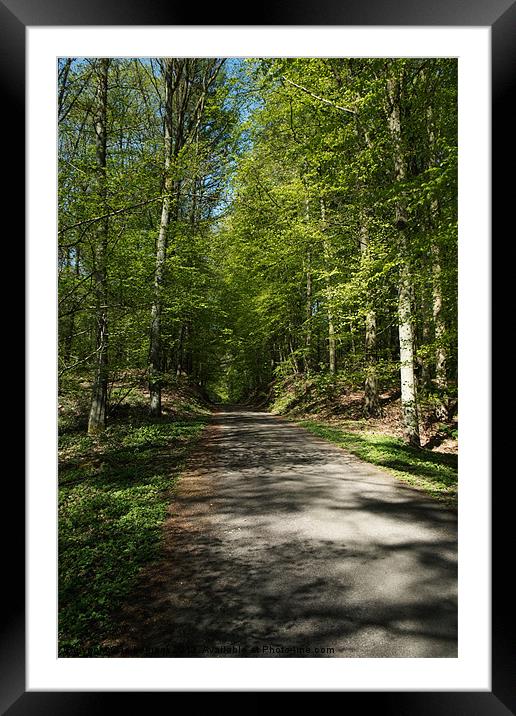 forest path Framed Mounted Print by Jo Beerens