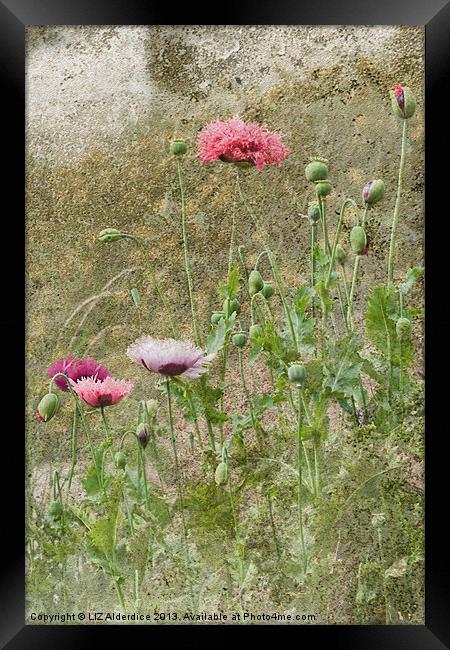 Cottage Garden Diptych 2 Framed Print by LIZ Alderdice