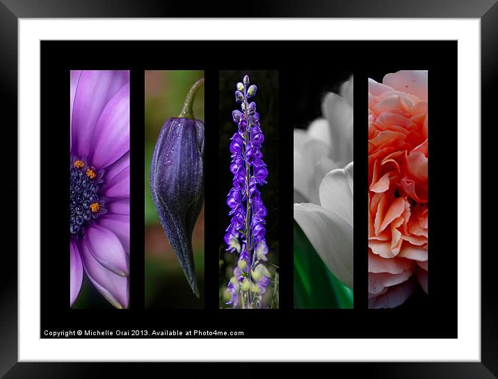 Montage Floral Framed Mounted Print by Michelle Orai