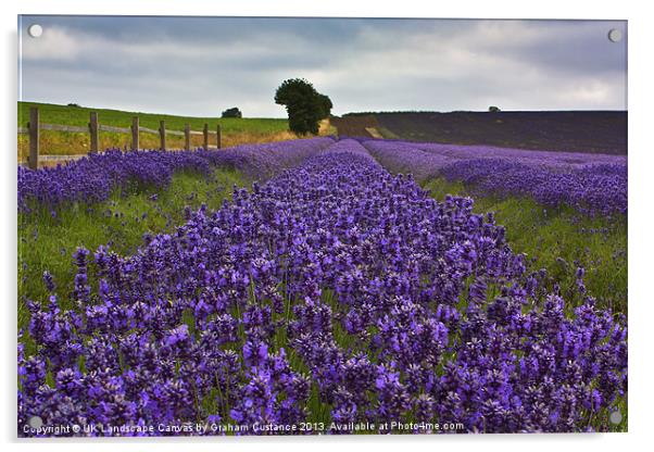 Lavender Field Acrylic by Graham Custance