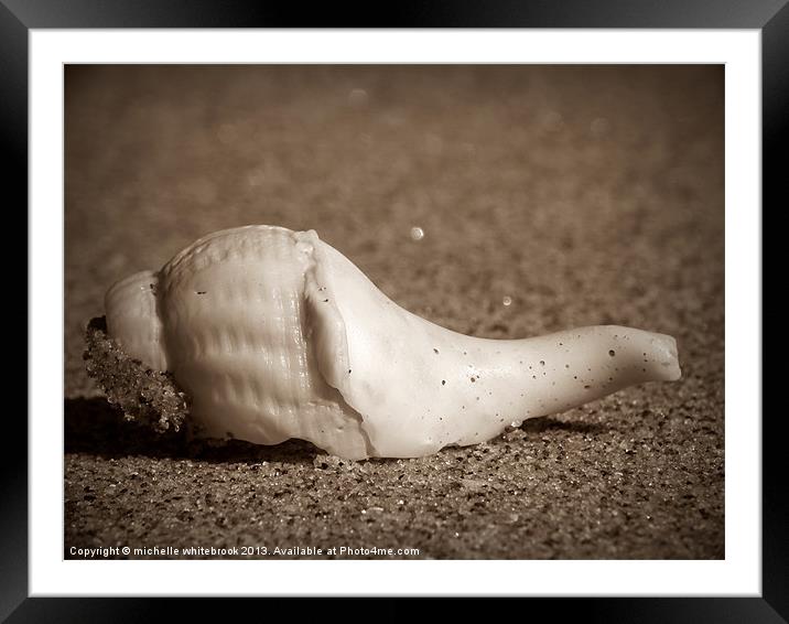 Lone Shell Framed Mounted Print by michelle whitebrook