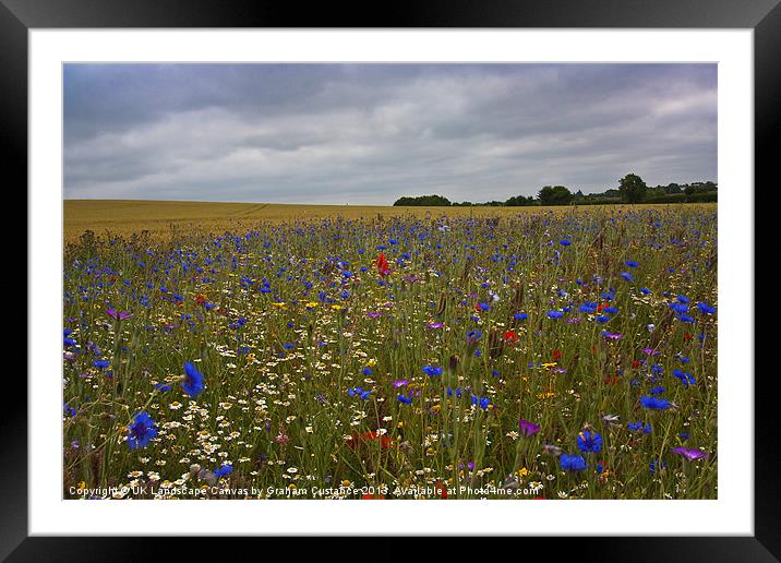 Wild Flowers Framed Mounted Print by Graham Custance