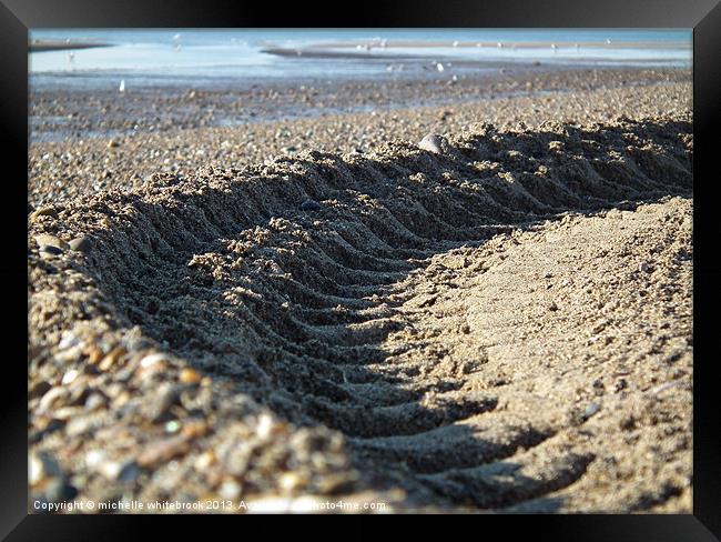 Tracks in the sand Framed Print by michelle whitebrook
