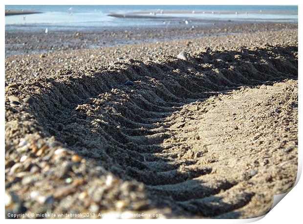Tracks in the sand Print by michelle whitebrook