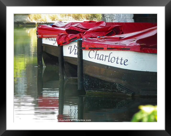 Boating Lake Framed Mounted Print by michelle whitebrook
