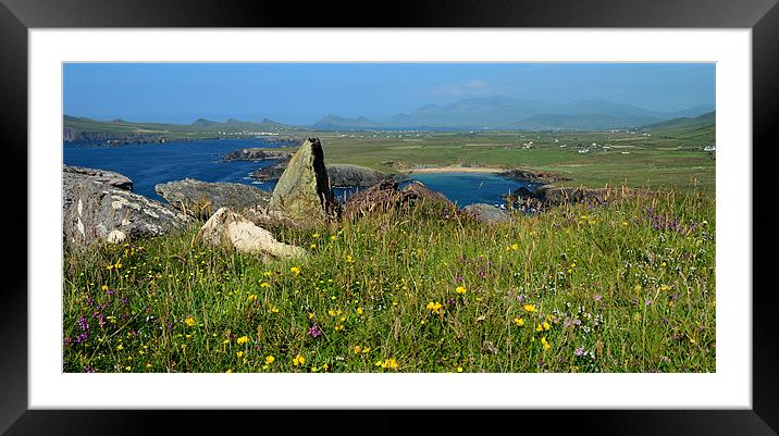 View over to Clogher beach Framed Mounted Print by barbara walsh
