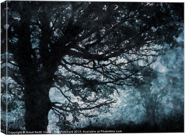 Black Trees Canvas Print by Ray Pritchard