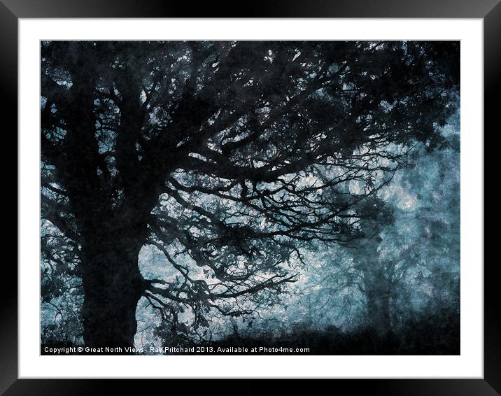 Black Trees Framed Mounted Print by Ray Pritchard