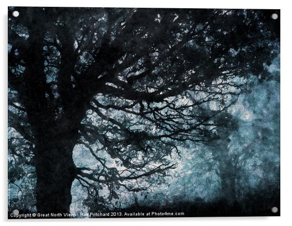 Black Trees Acrylic by Ray Pritchard
