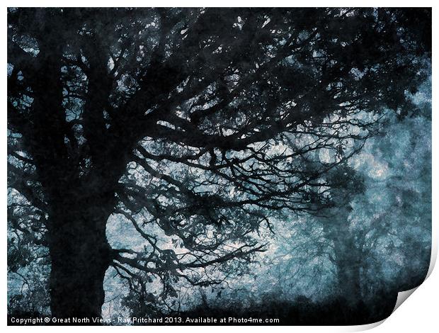 Black Trees Print by Ray Pritchard