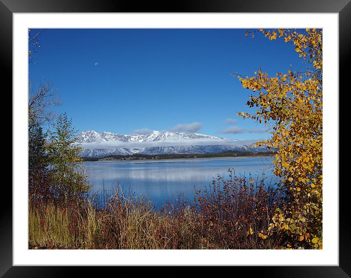 across the lake Framed Mounted Print by carol Hart