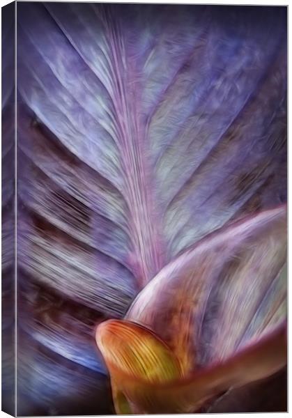 leaf Canvas Print by Mike Sherman Photog
