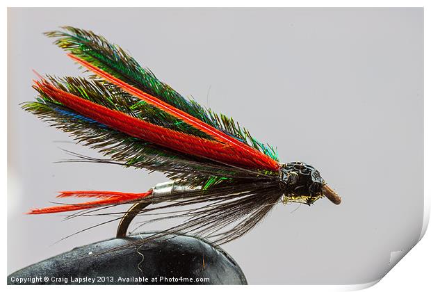 Trout fishing fly Print by Craig Lapsley