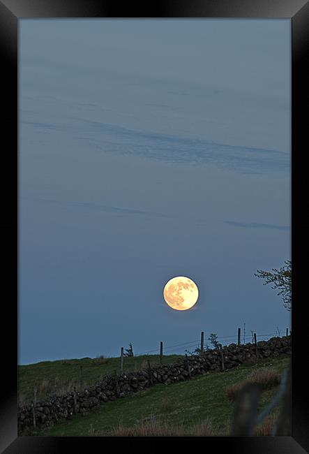 Moonrise over the Collin Framed Print by Peter Lennon