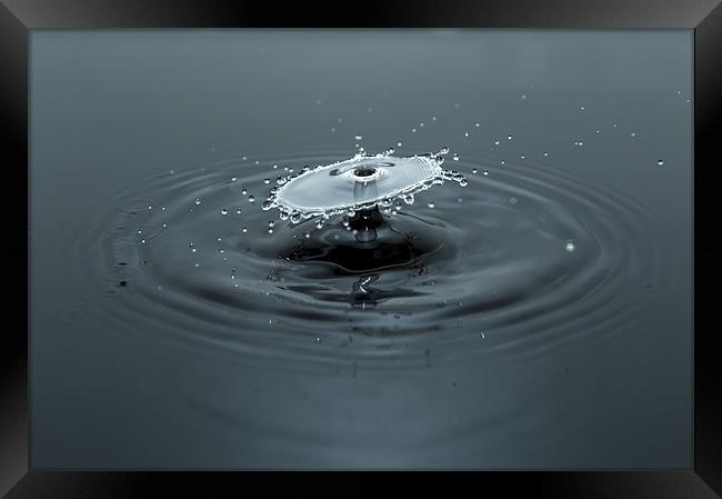 Water Drop Magic Framed Print by Brian Wilson