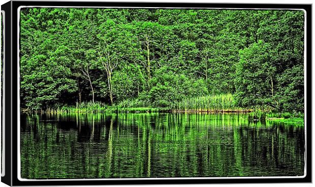 green lake reflection Canvas Print by jane dickie