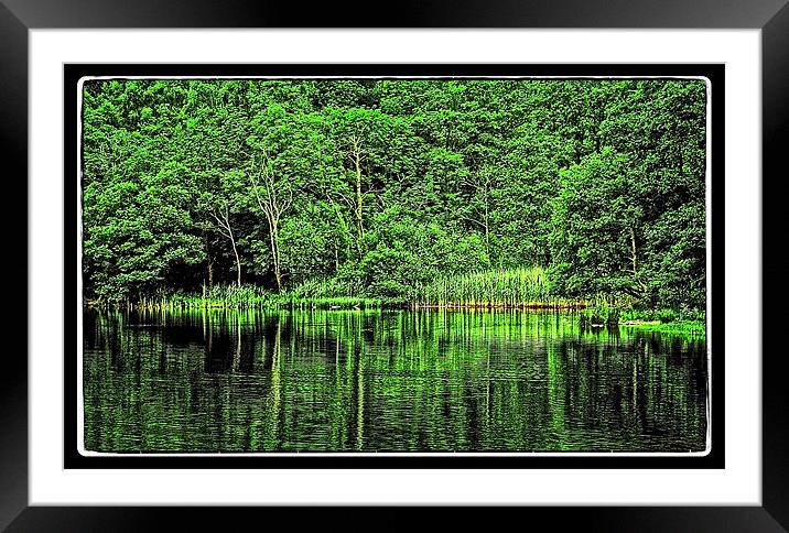 green lake reflection Framed Mounted Print by jane dickie