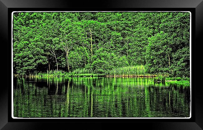 green lake reflection Framed Print by jane dickie