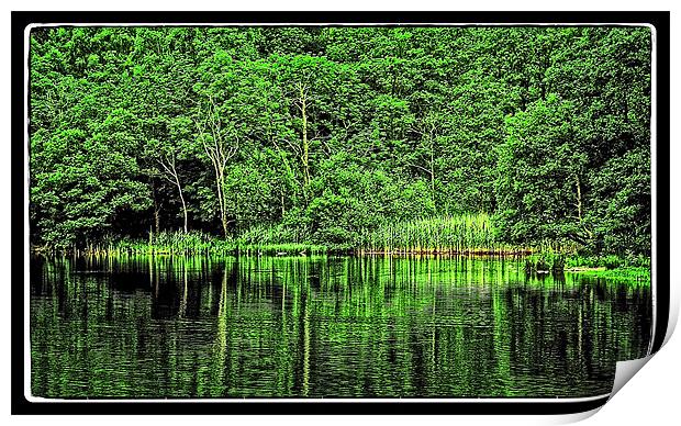 green lake reflection Print by jane dickie