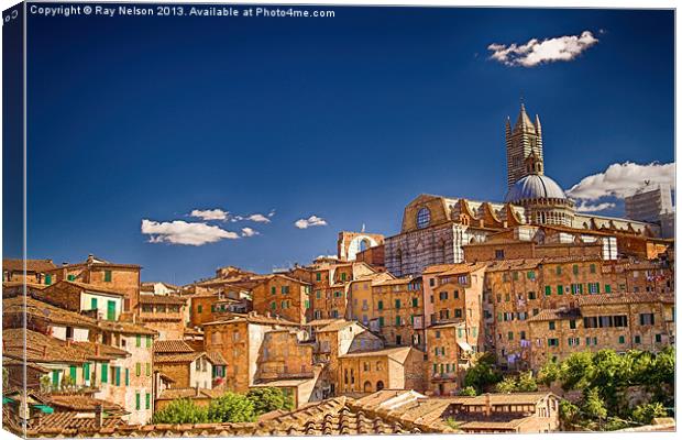 Sienna Hillside Canvas Print by Ray Nelson