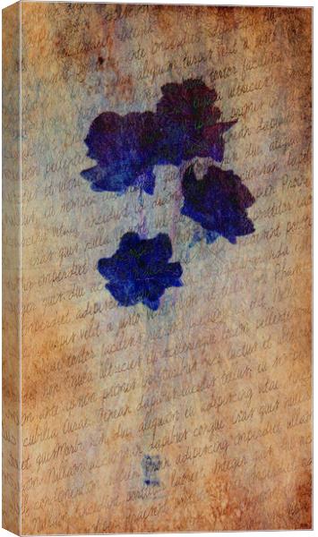 Petit Fleur en Bleu. Canvas Print by Heather Goodwin