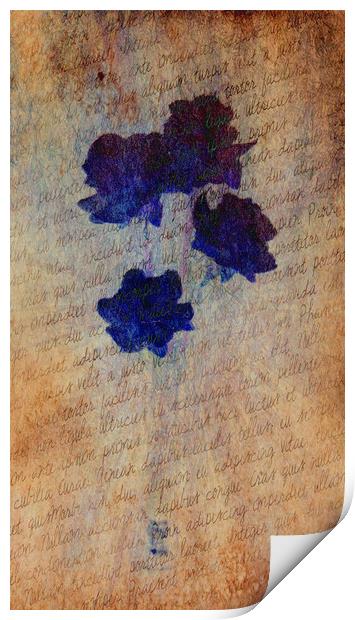 Petit Fleur en Bleu. Print by Heather Goodwin