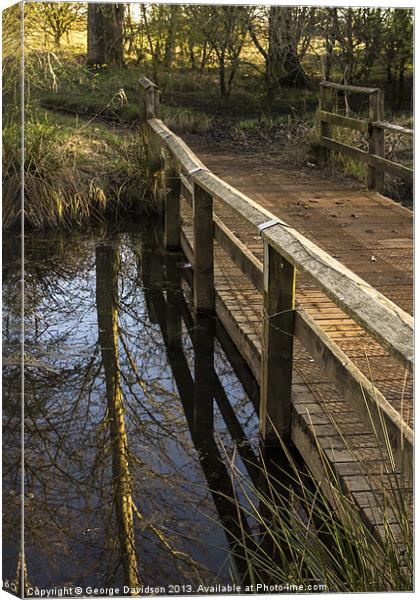 Reflecting by the Bridge Canvas Print by George Davidson